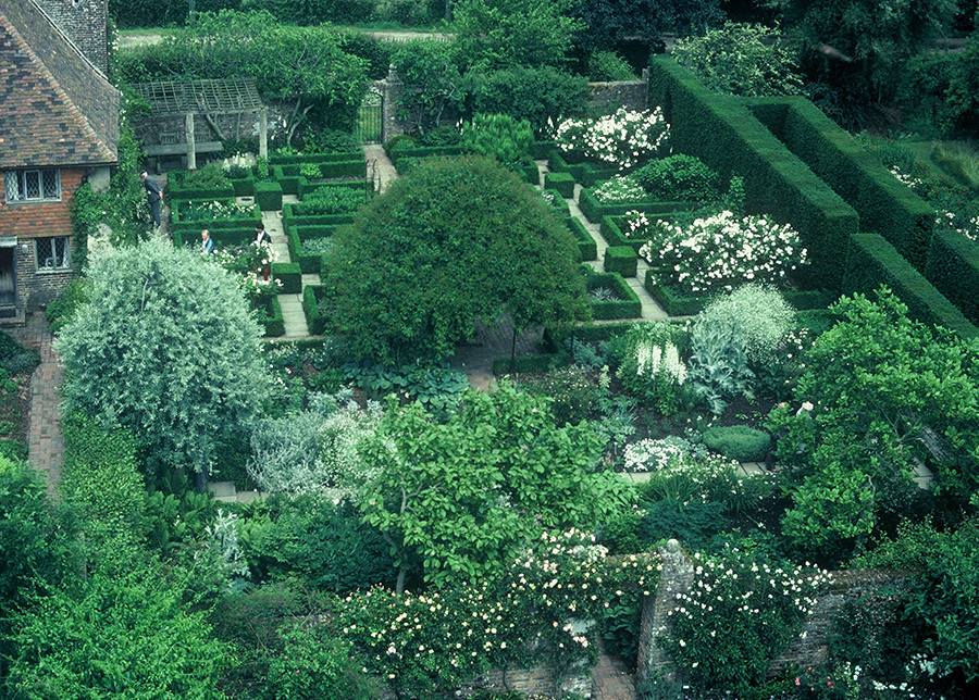 Розовый сад Сисингхерст — аромат Англии (Кент) 5 Влияние климата Кента на характеристики роз