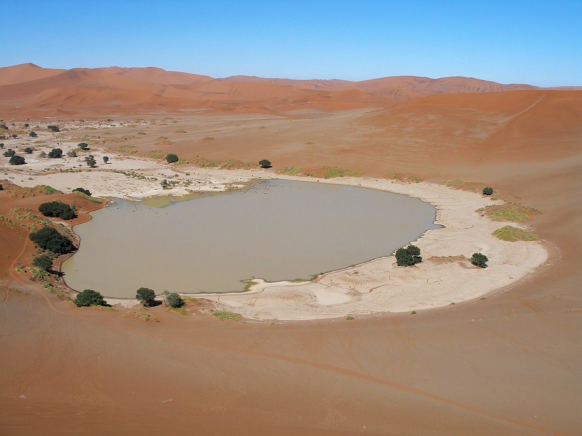 Погода в пустыне как возникают оазисы 2 Оазисы и местные сообщества: взаимодействие