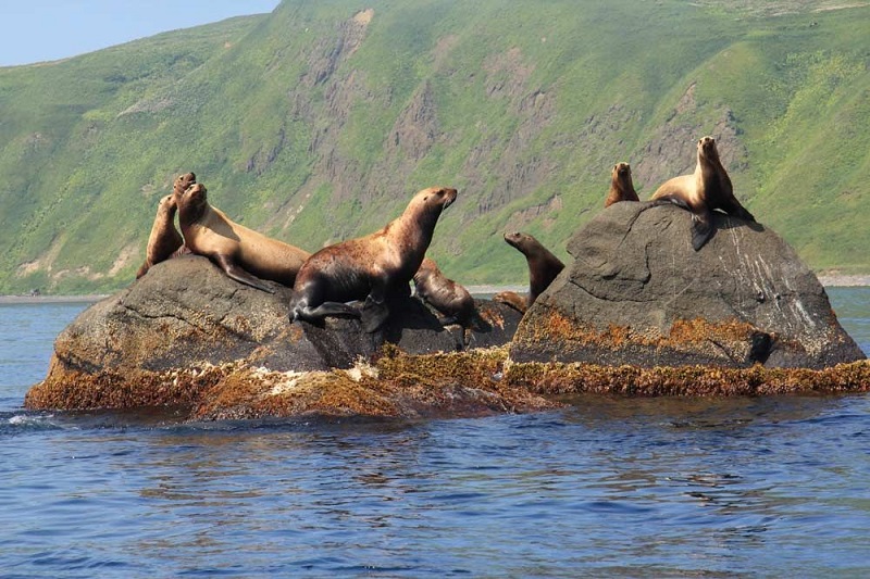 Простота погружений