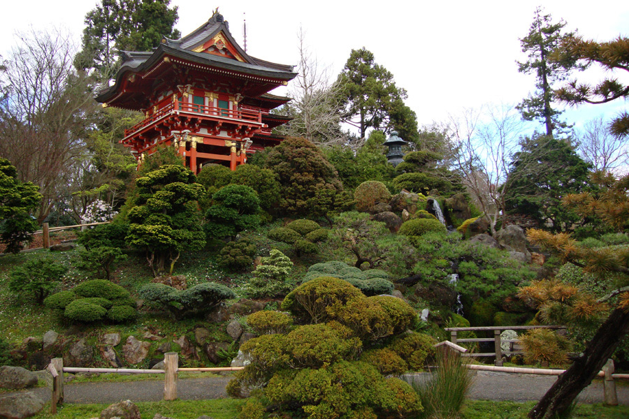 Что привезти с собой в чайный сад