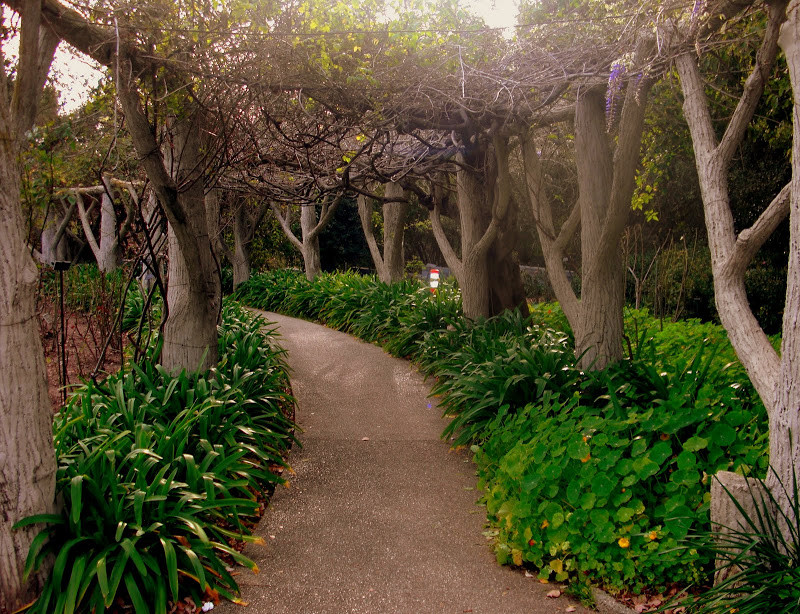 Сады Хантингтон в Сан-Марино (Калифорния, США) 4 Лучшие маршруты для прогулок по парку