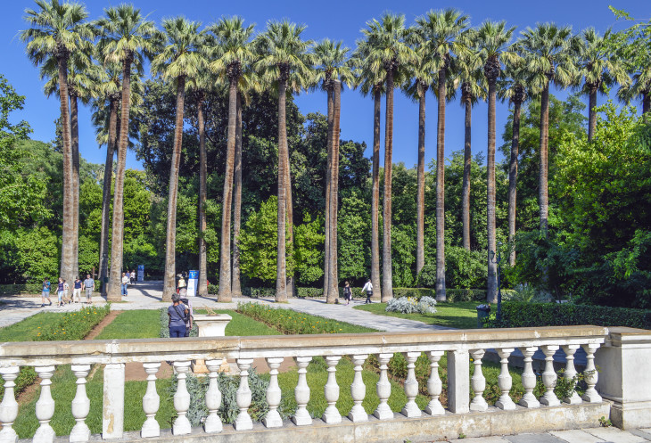 Растительность и флора Национального сада