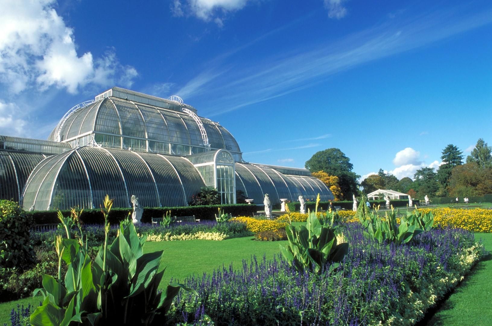 Сады Кью в Лондоне — ботаническая энциклопедия (Великобритания) 7 Кафе «Orangery»