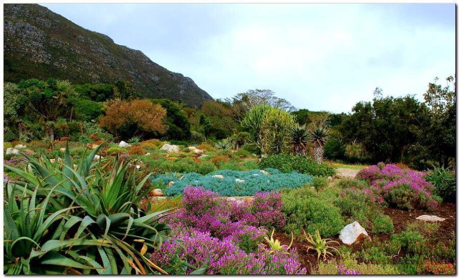 Экологические инициативы и образовательные программы