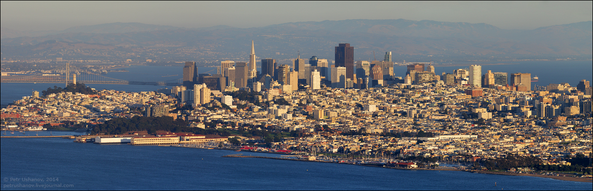 Финансовые модели и устойчивость бизнеса