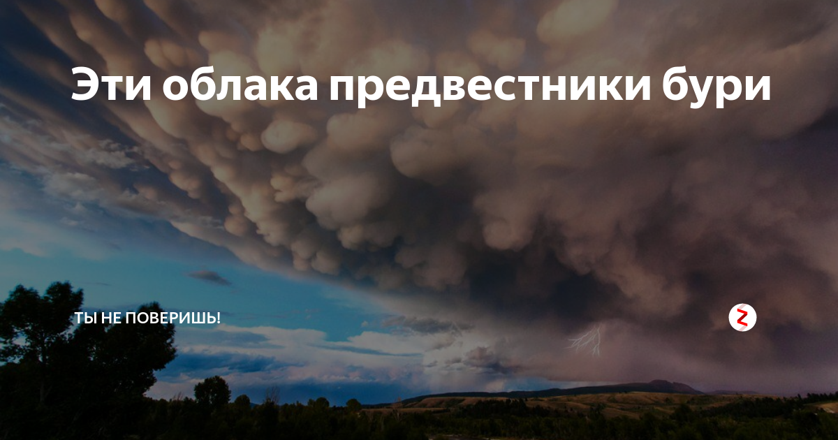 Погода с облаками мамматус как предвестники бури 8 Регулярно проверяйте прогноз погоды