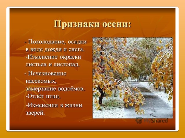 Погода при осеннем листопаде как она меняется