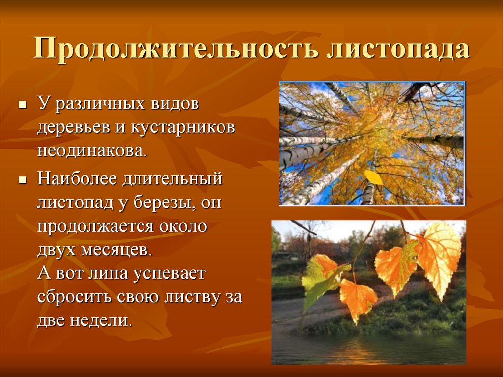 Причины повышения влажности осенью