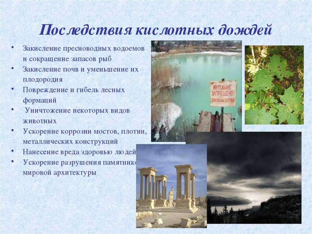 Реакция водоемов на кислотные дожди: изменение качества воды