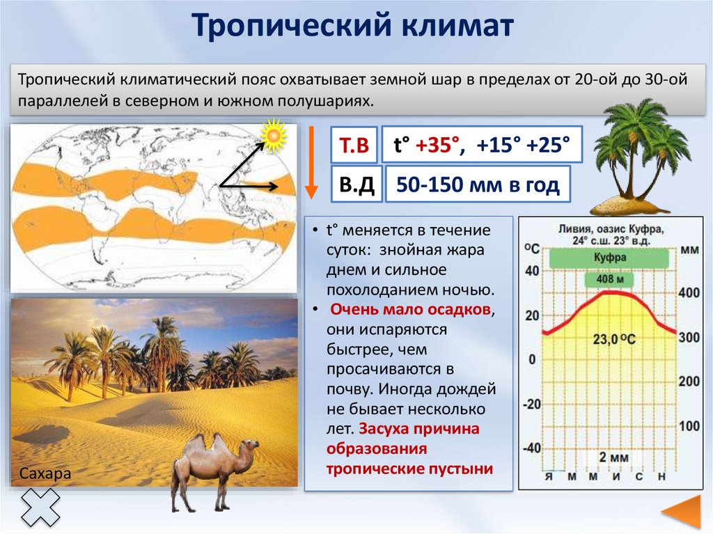 Погода в тропиках особенности климата и частые осадки 7 Туризм в тропиках: когда лучше планировать поездки?