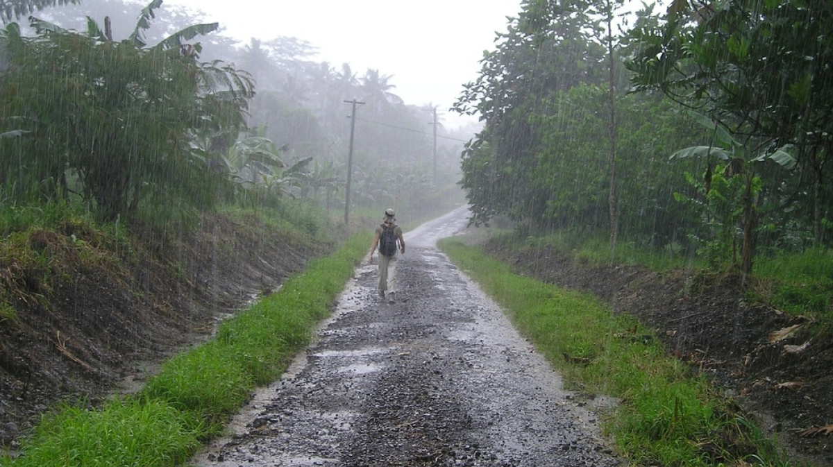 Погода в дождливый сезон что характерно для муссонов 5 Роль муссонов в экосистемах