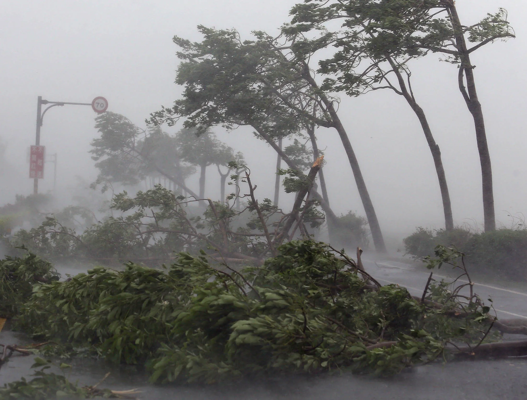 Погода во время тайфуна как отличить от урагана 8 Создайте план действий