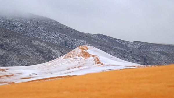 Недавние события