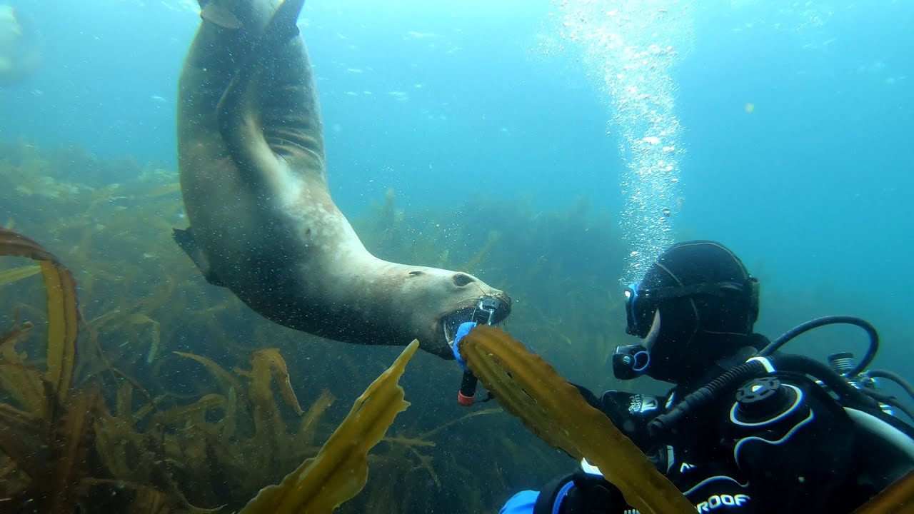 Популярные экскурсии и активности на Монероне