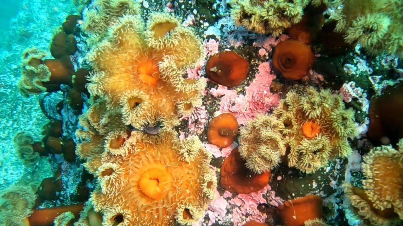 Пешие прогулки по заповеднику