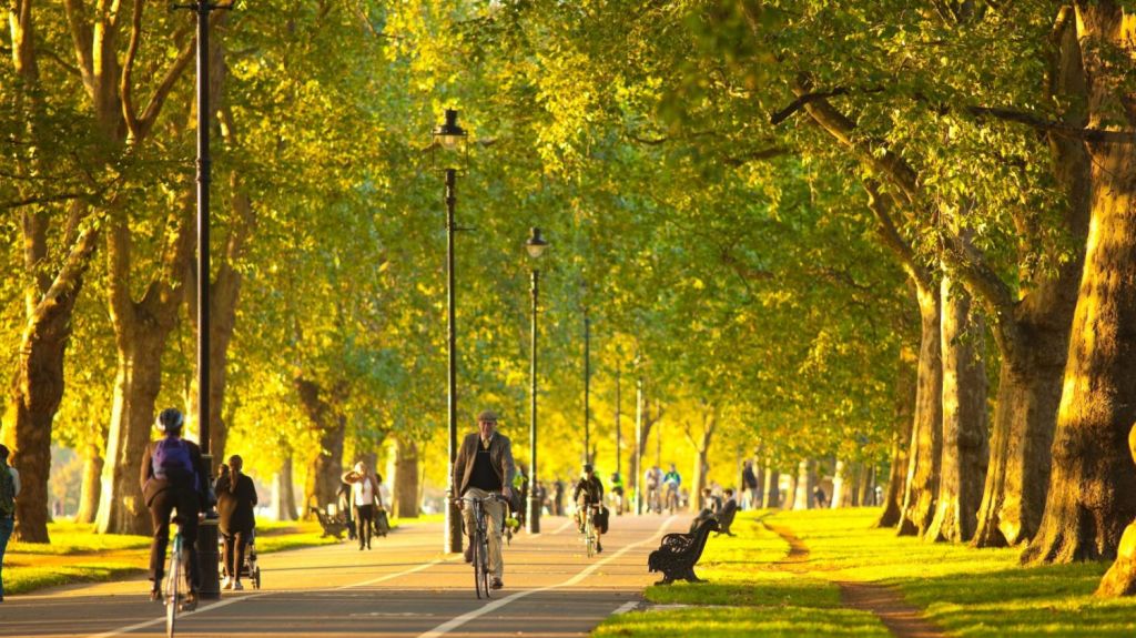 Активности в аллеях Гайд-парка: от прогулок до спортивных мероприятий