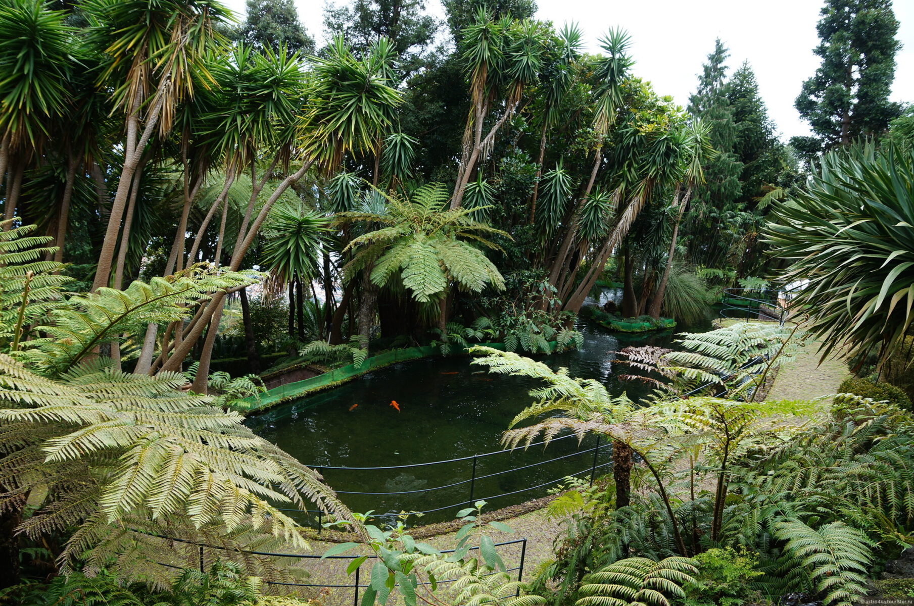Тропики в саду Монбаль в Картахене (Колумбия) 4 Уход за тропическими растениями в условиях Колумбии
