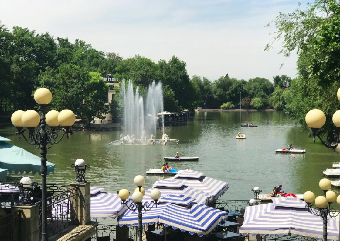 Доступность для инвалидов: как передвигаться по парку