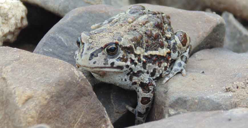 Рекомендации по посещению