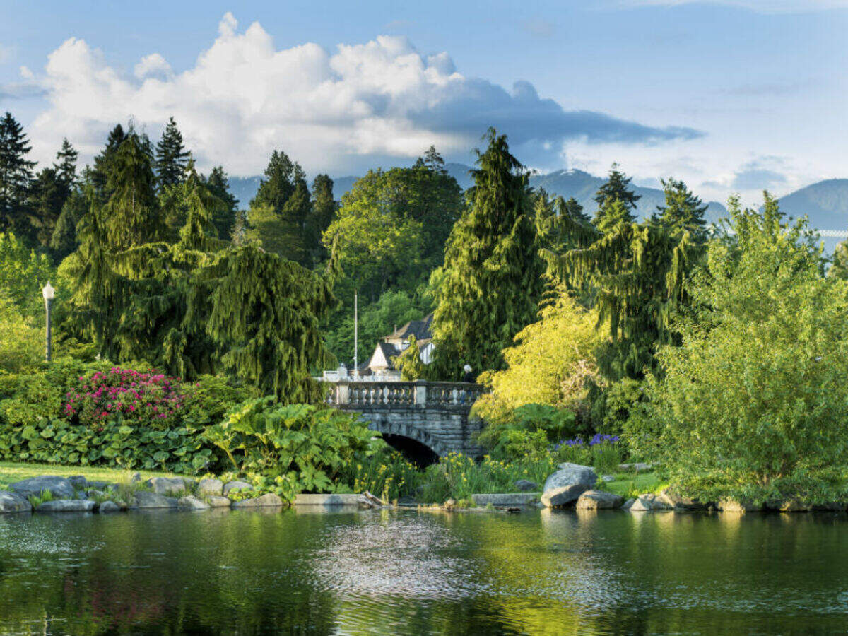Где поесть и выпить в парке Станли?
