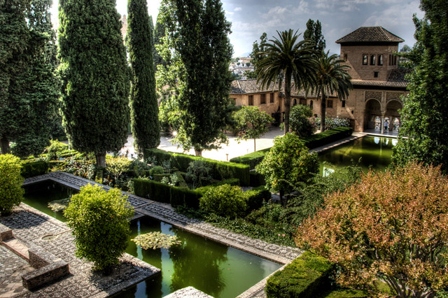 Образовательные программы