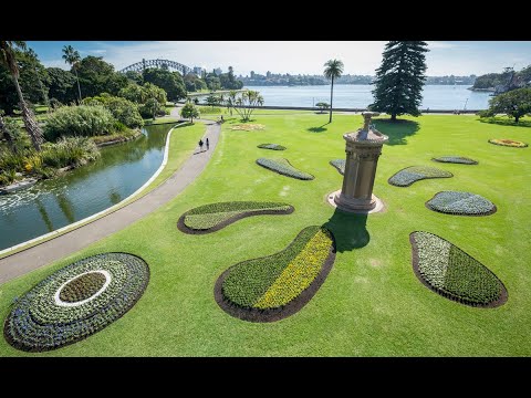 Ботанический сад в Сиднее — оазис у Оперного театра (Австралия) 3 Программа