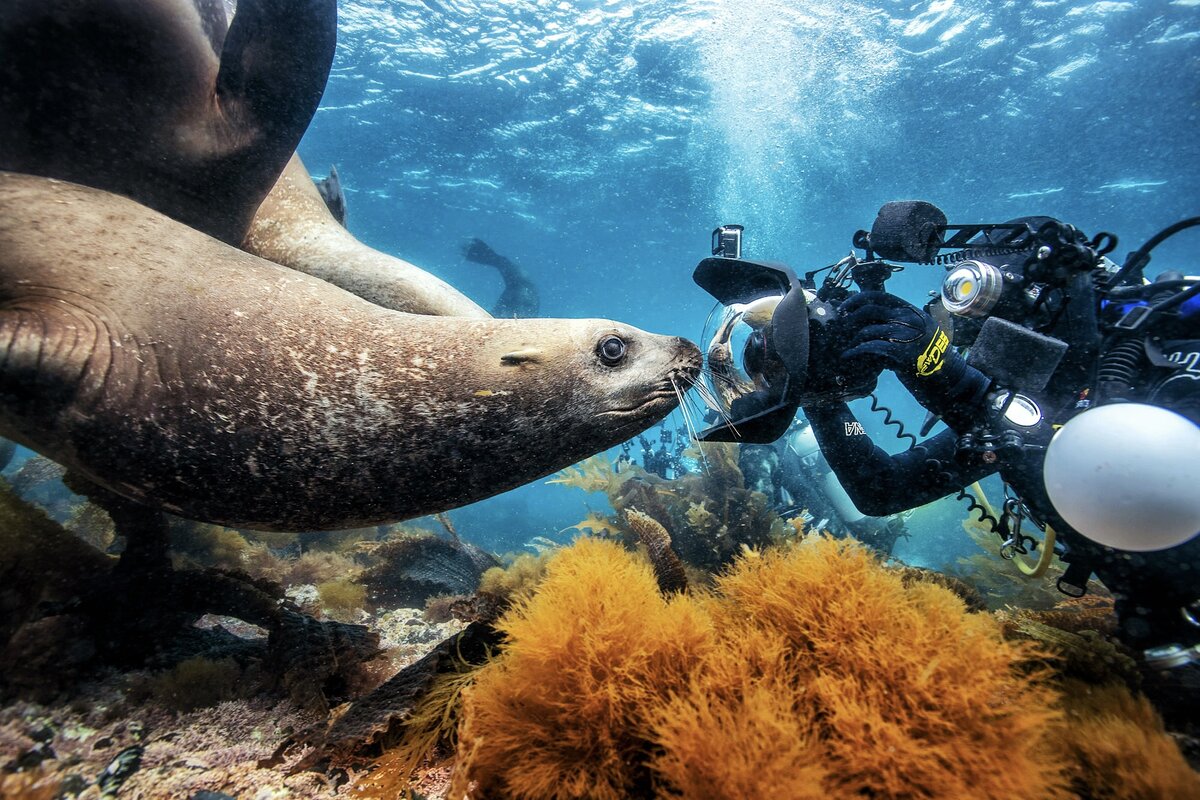 Оборудование