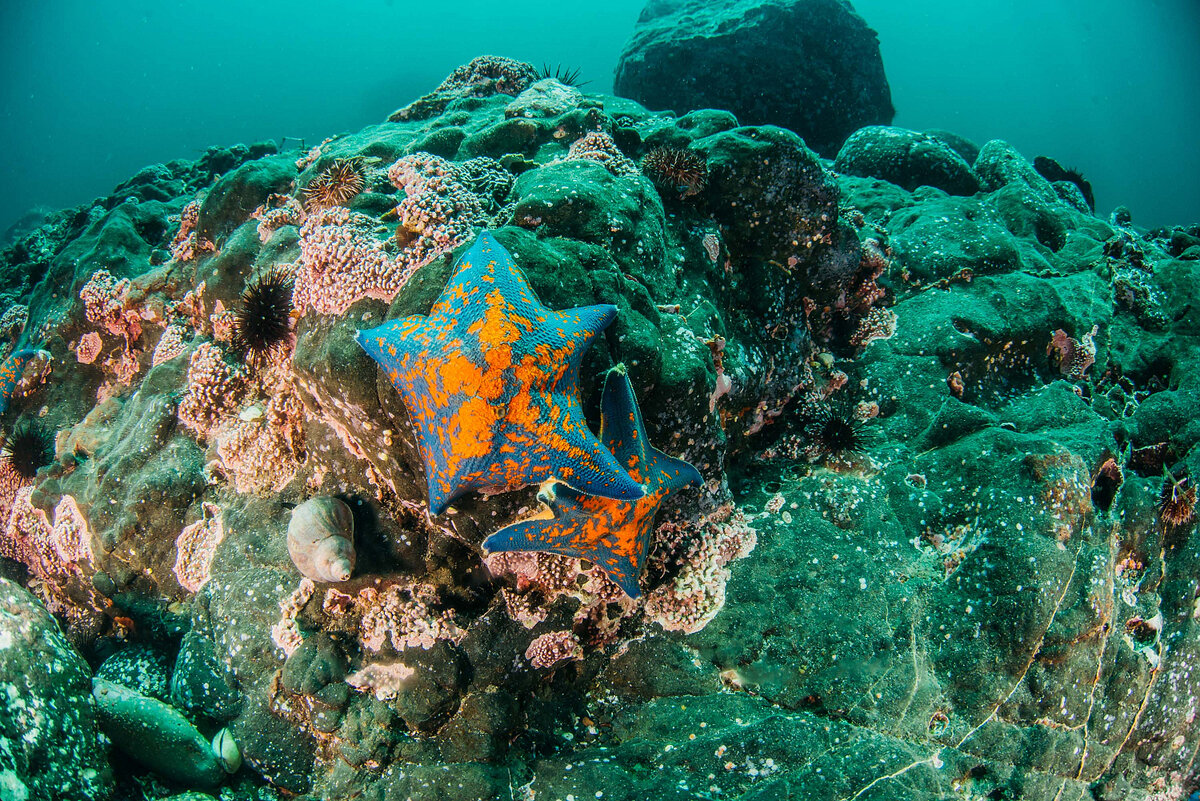 Потрясающие локации