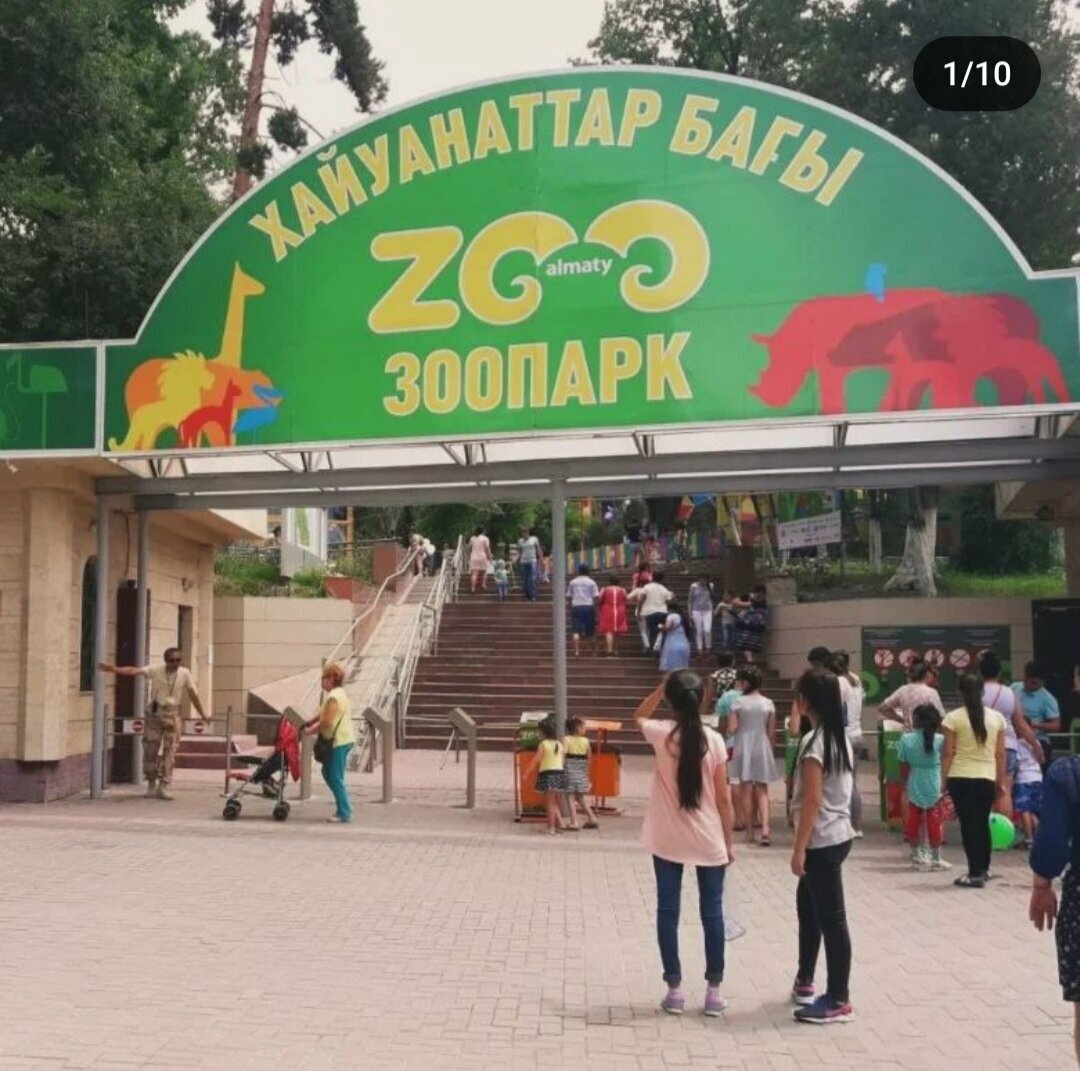 Полезные советы для посетителей