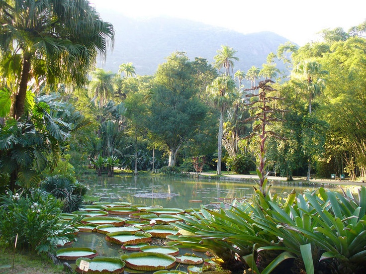 Устойчивое развитие и охрана окружающей среды в саду