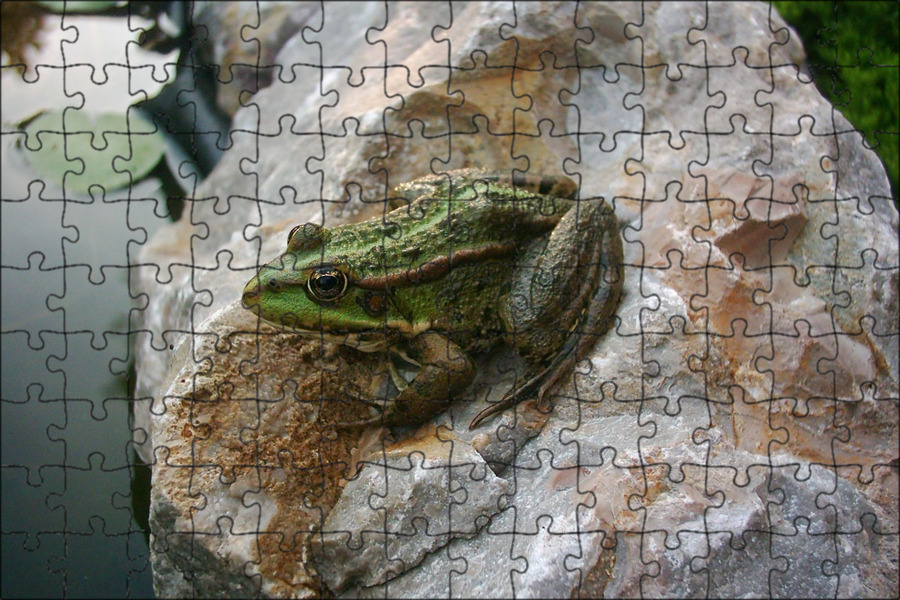 Экологические инициативы и самосознание