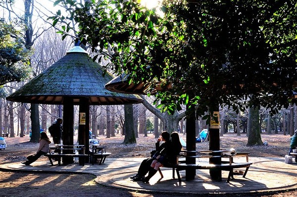 Удивительный парк Йойоги в Токио — место для всех 8 Основные фестивали