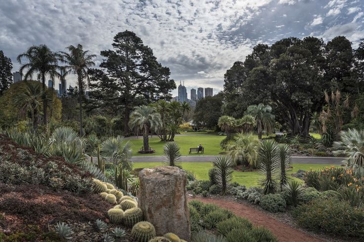 Ботанический сад в Сиднее — оазис у Оперного театра (Австралия) 2 Лучшие образовательные программы и экскурсии в саду
