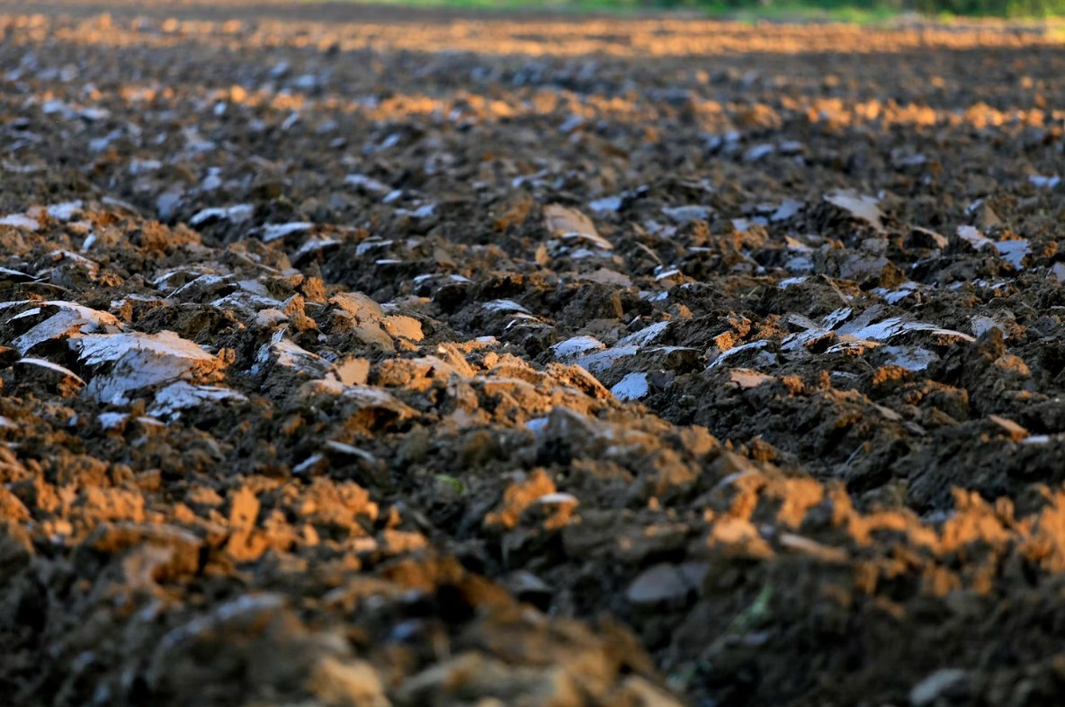 Погода при заморозках весной как защитить урожай 5 Теплицы и парники как защитная мера