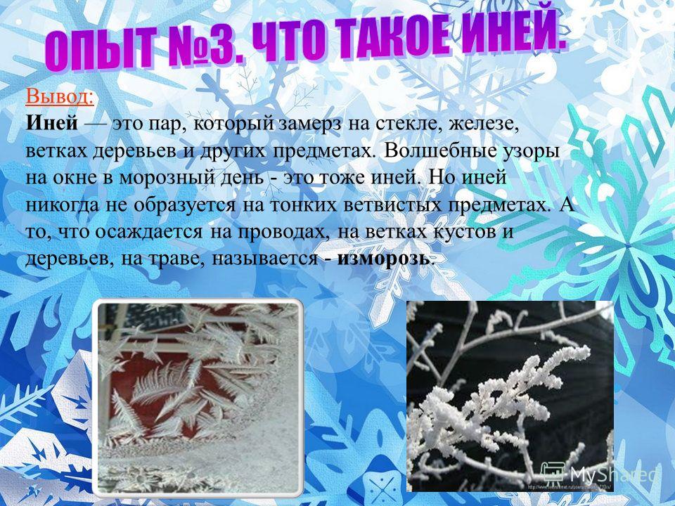 Погода при инее и изморози как образуются кристаллы 5 Устойчивость экосистем