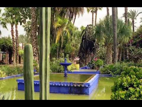 Влияние искусства: роль Ива Сен-Lорана в судьбе сада