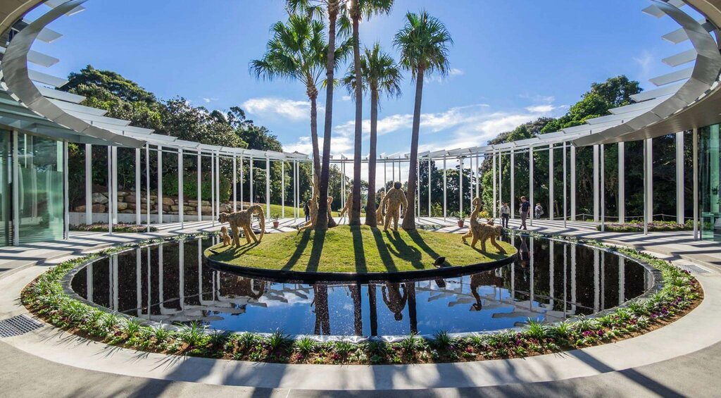 Ботанический сад в Сиднее — оазис у Оперного театра (Австралия) 8 Как ухаживают за растениями: закулисье садоводов