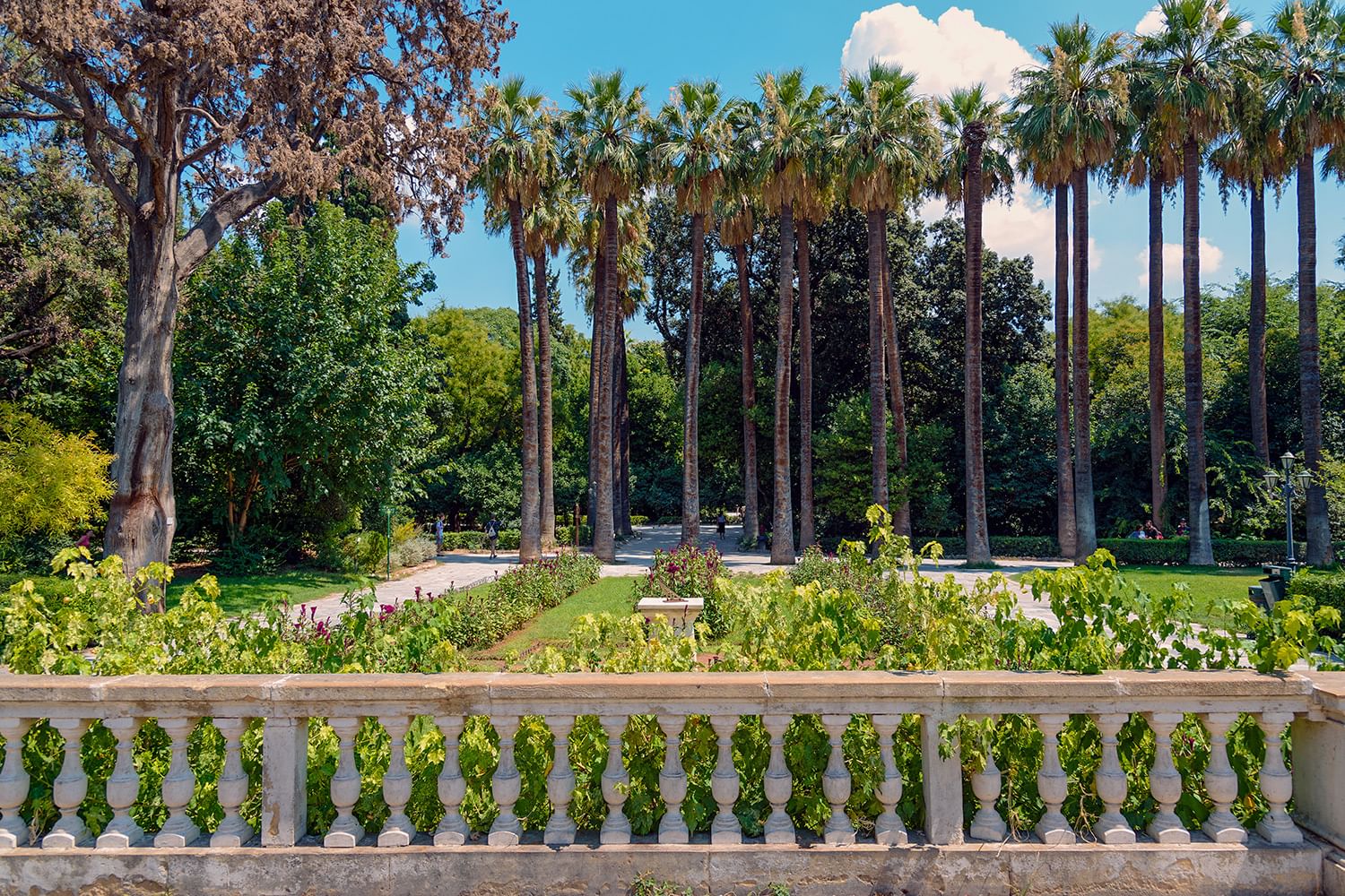 Как добраться до Национального сада из центра Афин