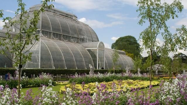 Сады Кью в Лондоне — ботаническая энциклопедия (Великобритания) 5 Советы по организации прогулки по садам Кью