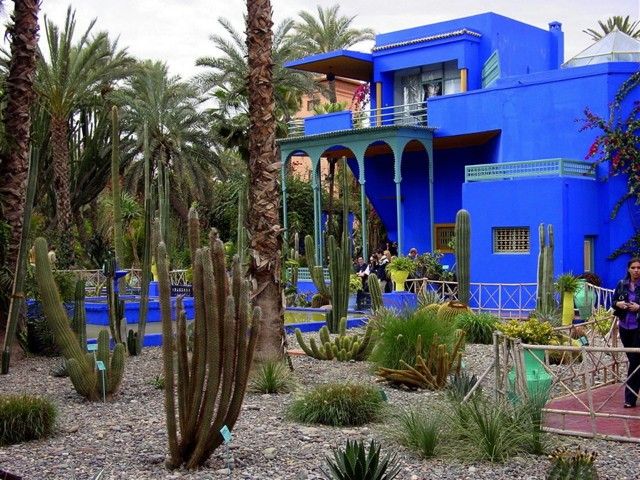 Социальные сети и хештеги