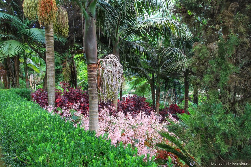 Тропики в саду Монбаль в Картахене (Колумбия) 2 История сада Монбаль: корни и развитие