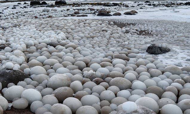 Оптимальная температура и влажность
