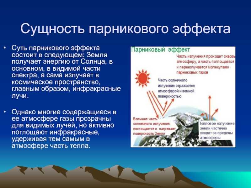 Плотность лесов и биорезервы