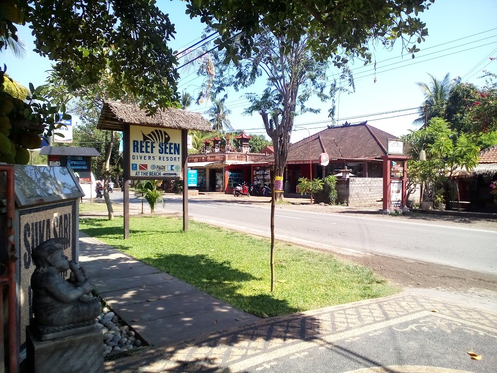 Спокойствие сада Сингараджа в Бали (Индонезия) 7 Впечатления от флоры и фауны