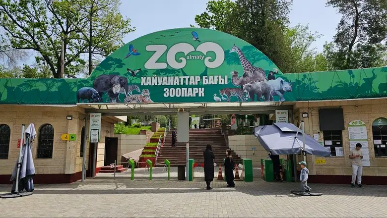 Проблемы защиты животных и экологии