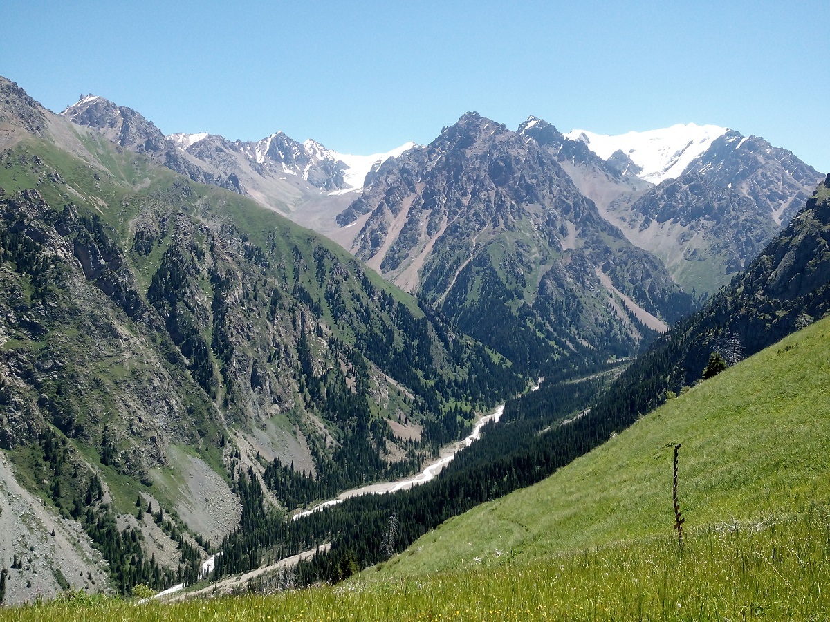 Популярные тропы