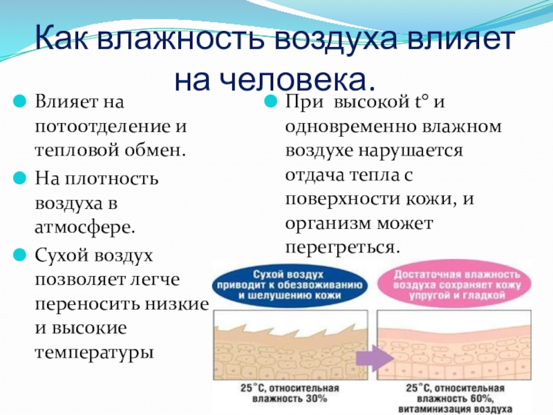 Отличие влажности от температуры: понятия и взаимосвязь