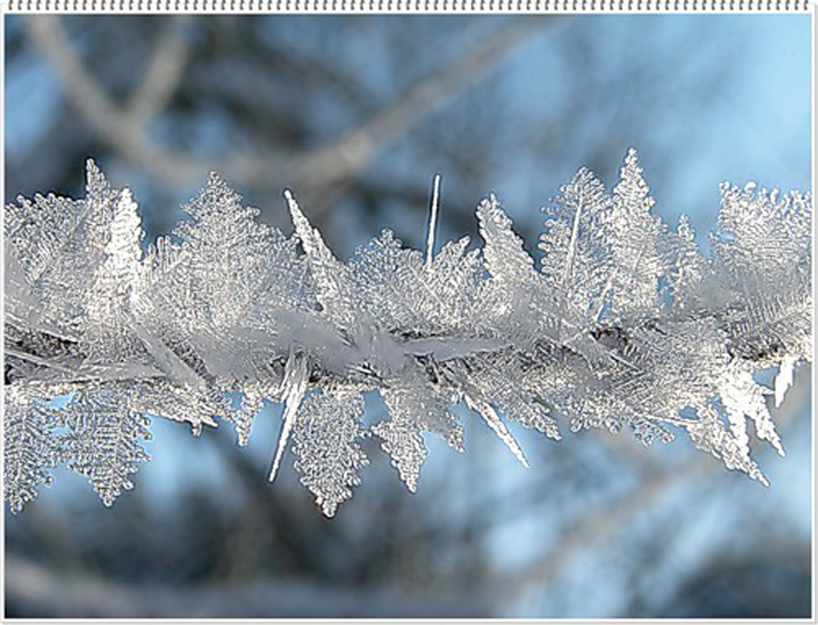 Погода при инее и изморози как образуются кристаллы 2 Условия для образования инея и изморози