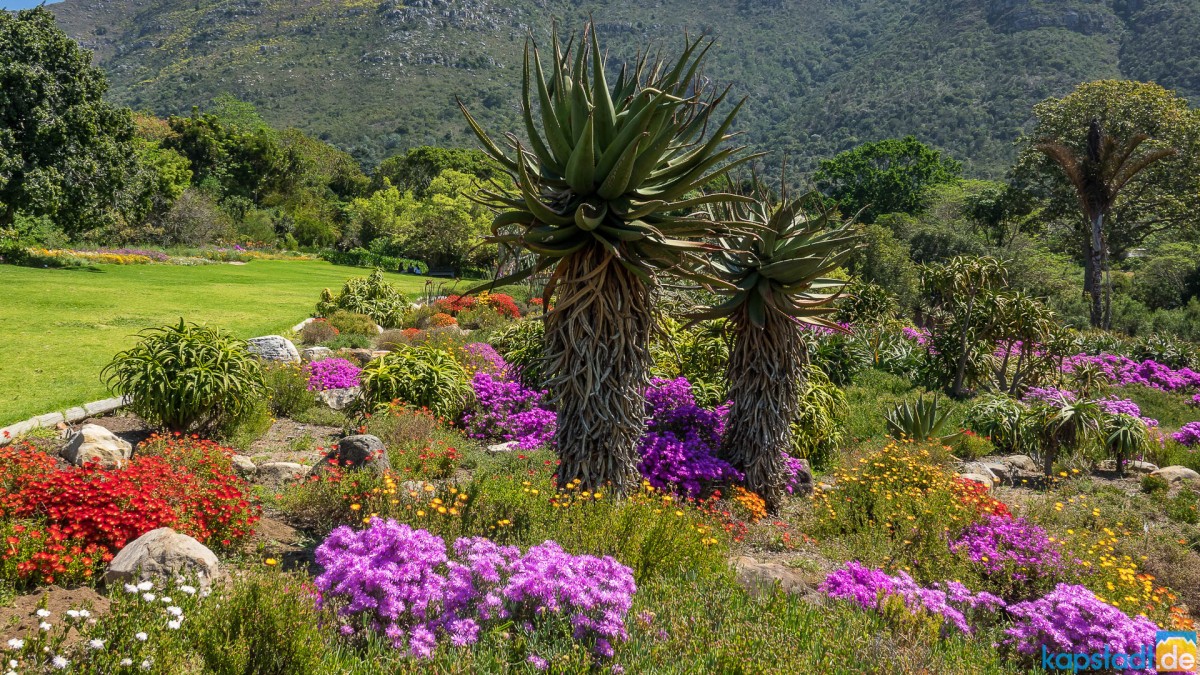 Летние месяцы