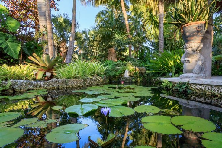Тропики в саду Монбаль в Картахене (Колумбия) 8 Как сад Монбаль способствует экотуризму в регионе